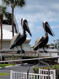 two pelicans perched on a railing