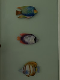 three glass fish hanging on a wall